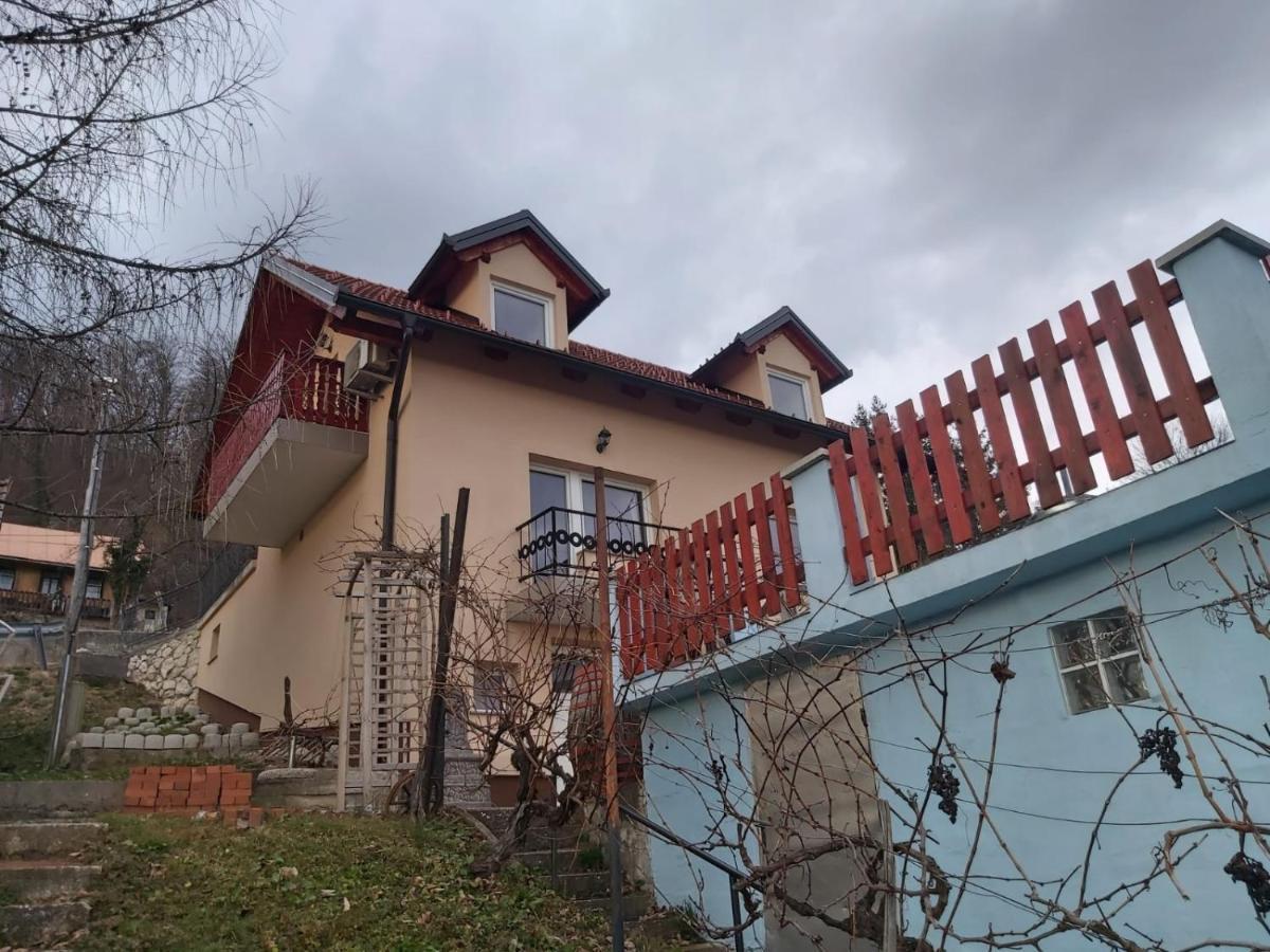 Villa Issy View House Senovo Exterior foto